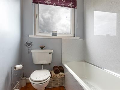 Picture 15